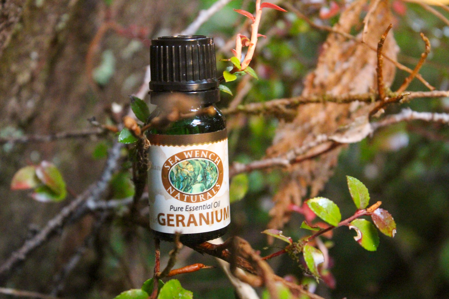Geranium Essential Oil
