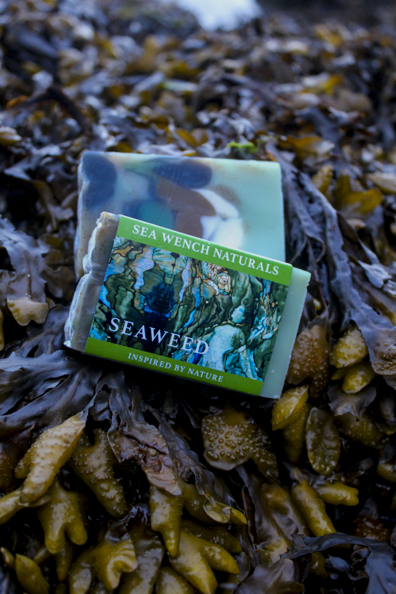 Sea Wench Soap - Seaweed Sensation