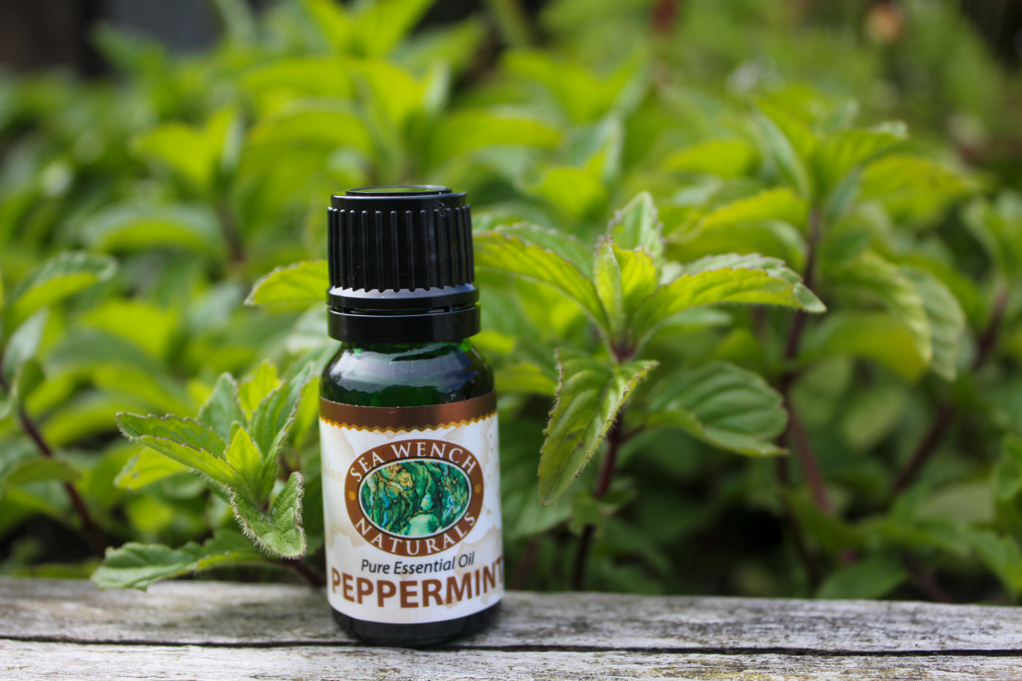 Peppermint Essential Oil