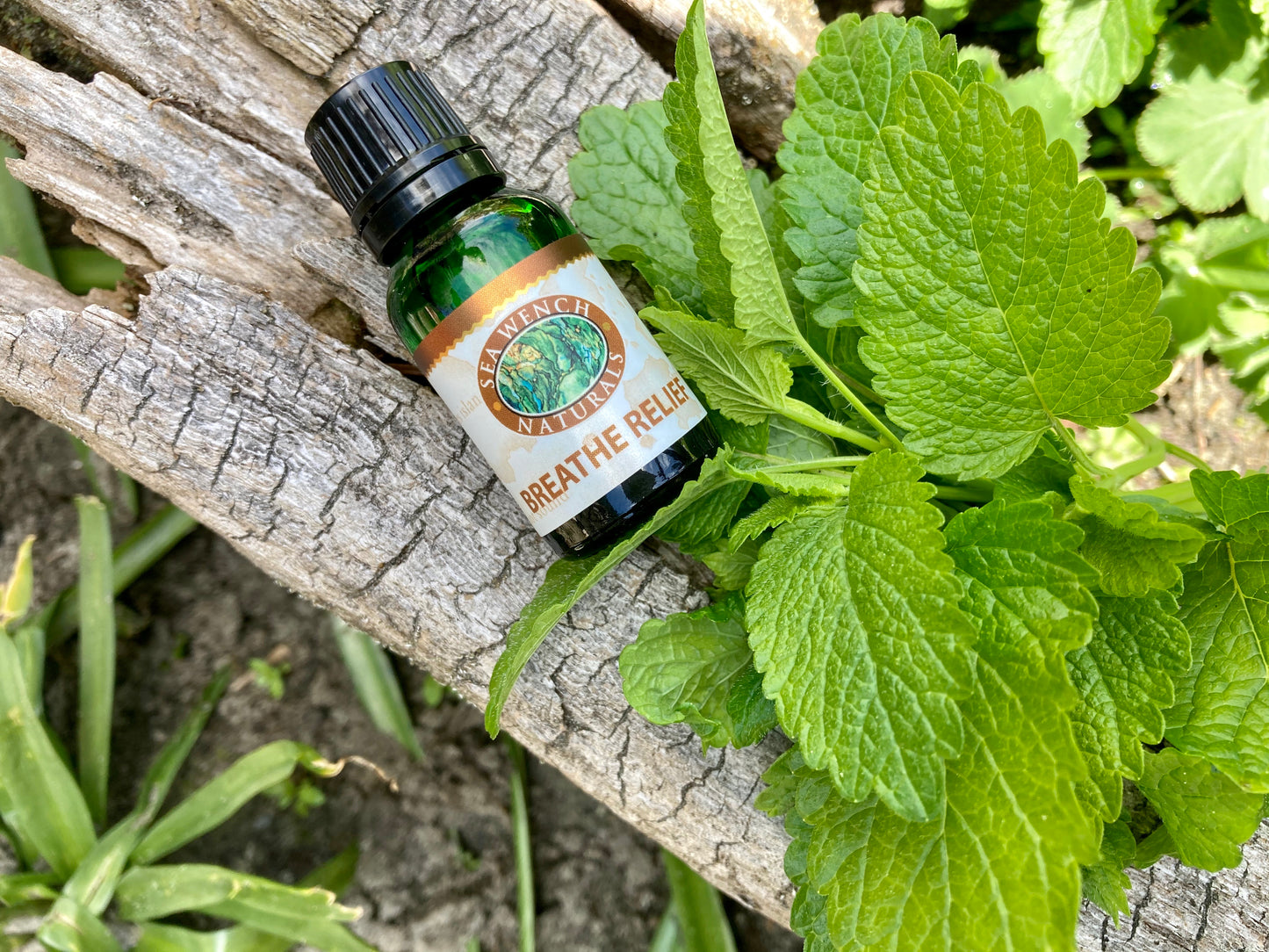 Breathe Relief essential oil blend by Sea Wench Naturals – eucalyptus, hyssop, pine, anise & peppermint blend for respiratory support, made in Canada