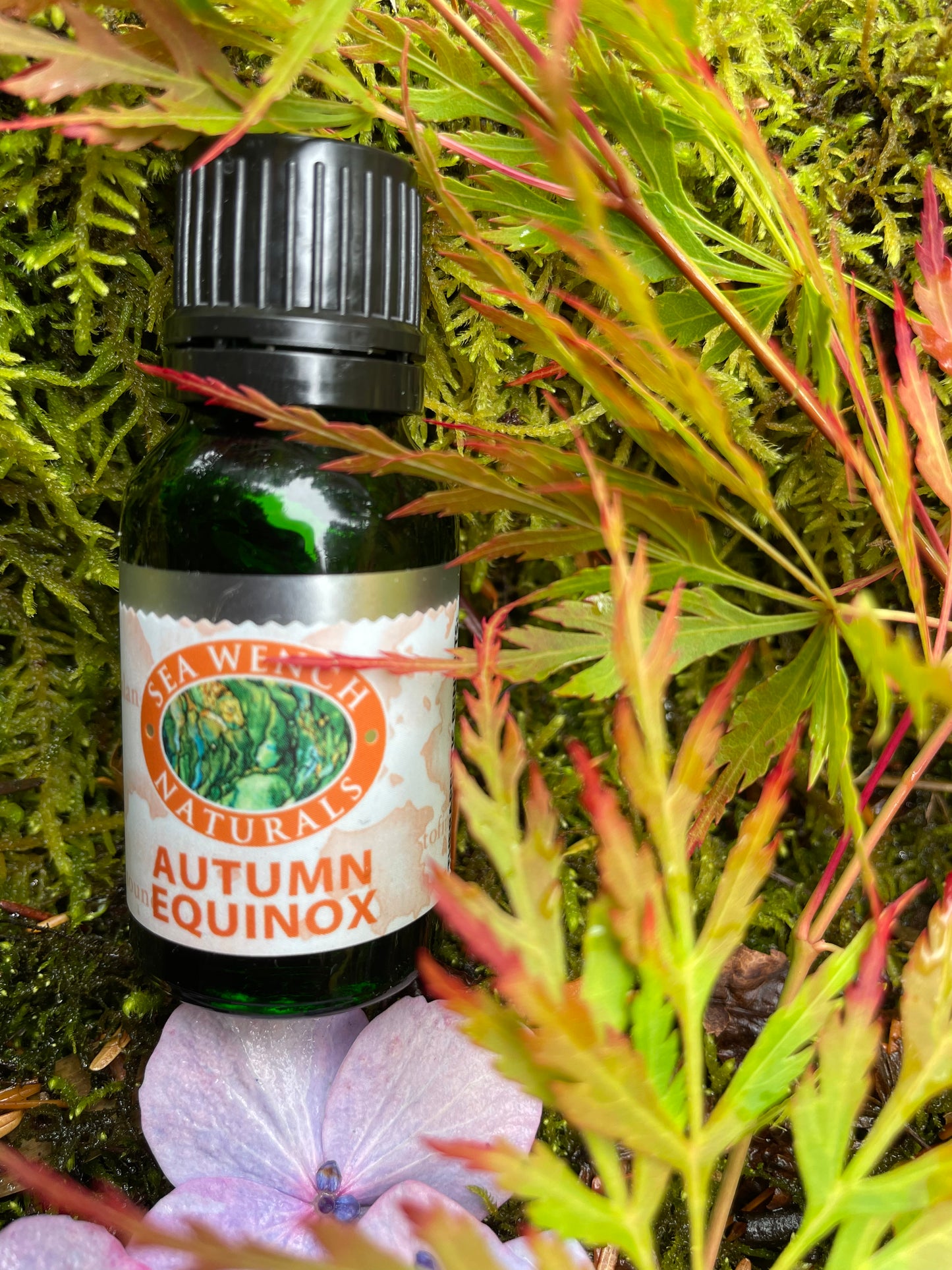 Autumn Equinox essential oil blend by Sea Wench Naturals – mandarin, fir, rosemary & lavender, Canadian‑made