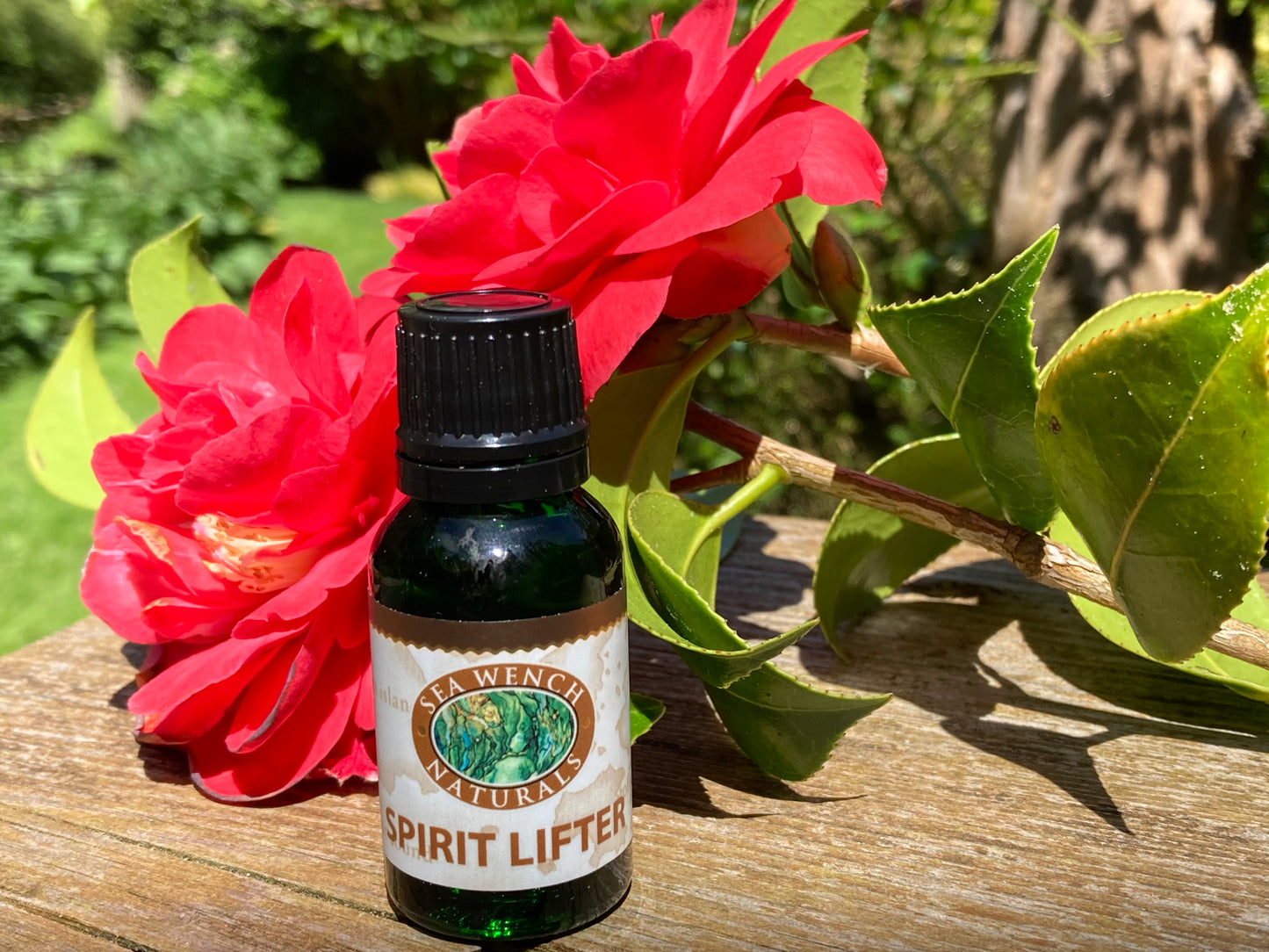 Spirit Lifter essential oil blend by Sea Wench Naturals – grapefruit, lemongrass, basil, rosemary & mint, 15 ml, made in Canada