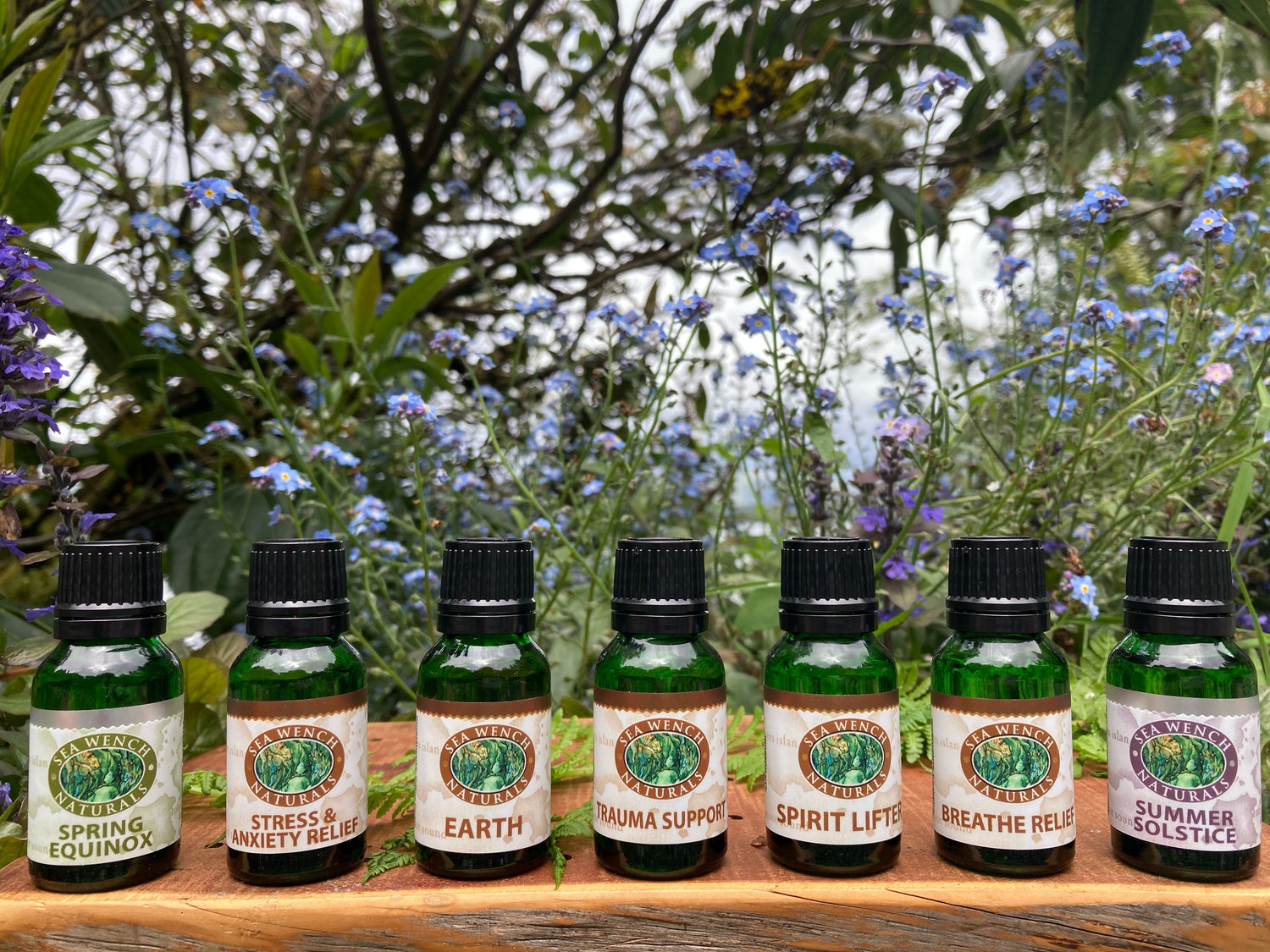 Synergy Blends collection – natural seaweed skincare jars