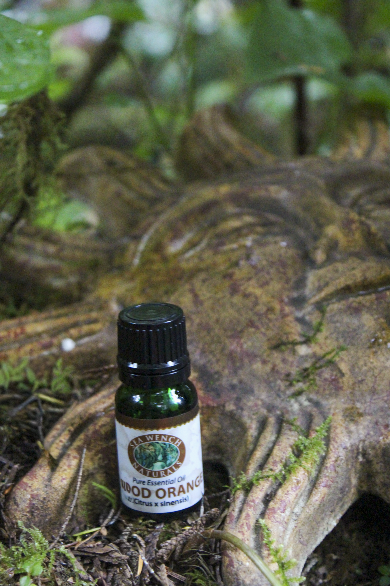 Blood Orange Essential Oil