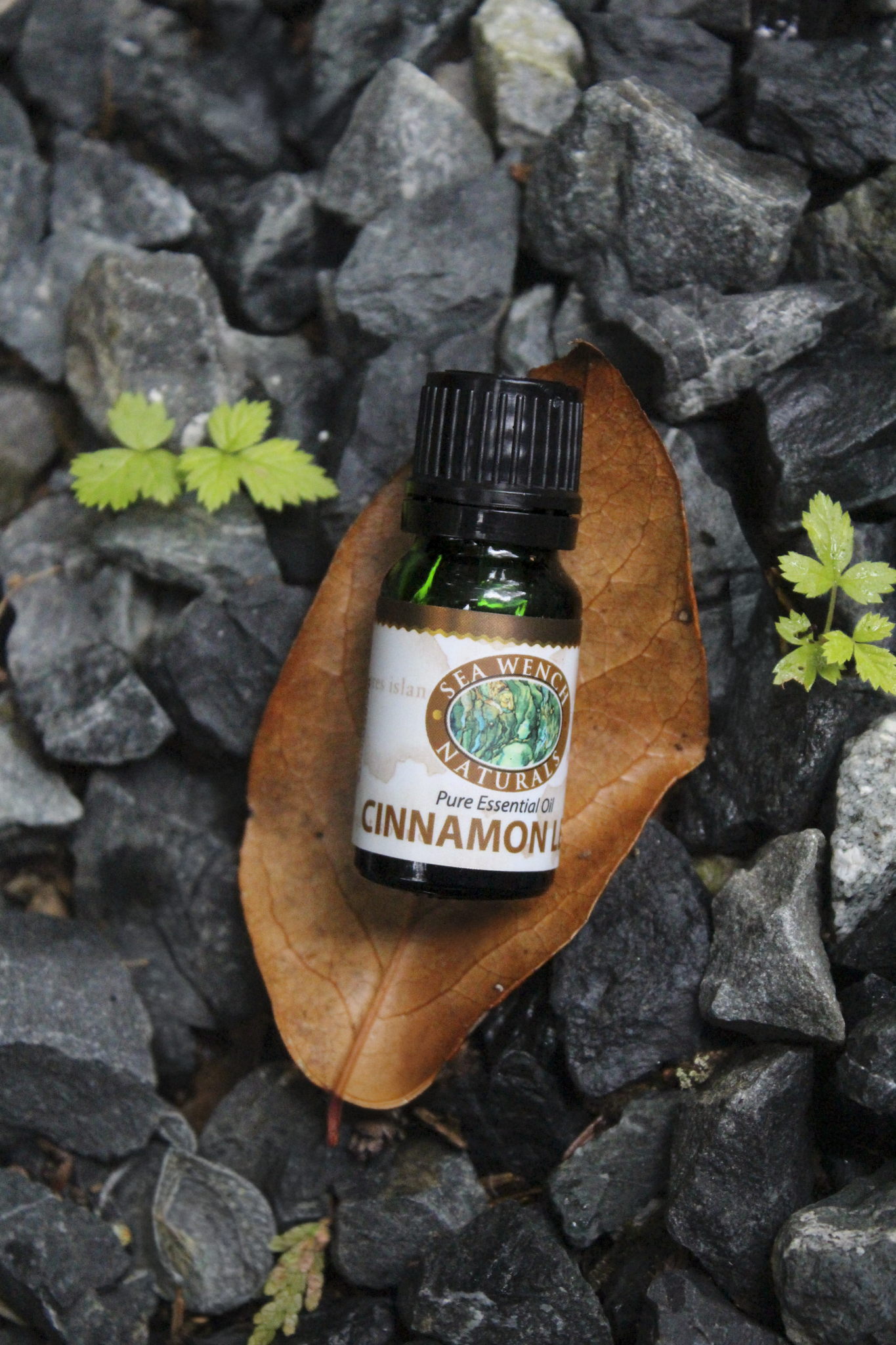 Cinnamon Leaf Essential Oil