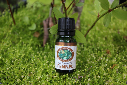 Fennel Essential Oil