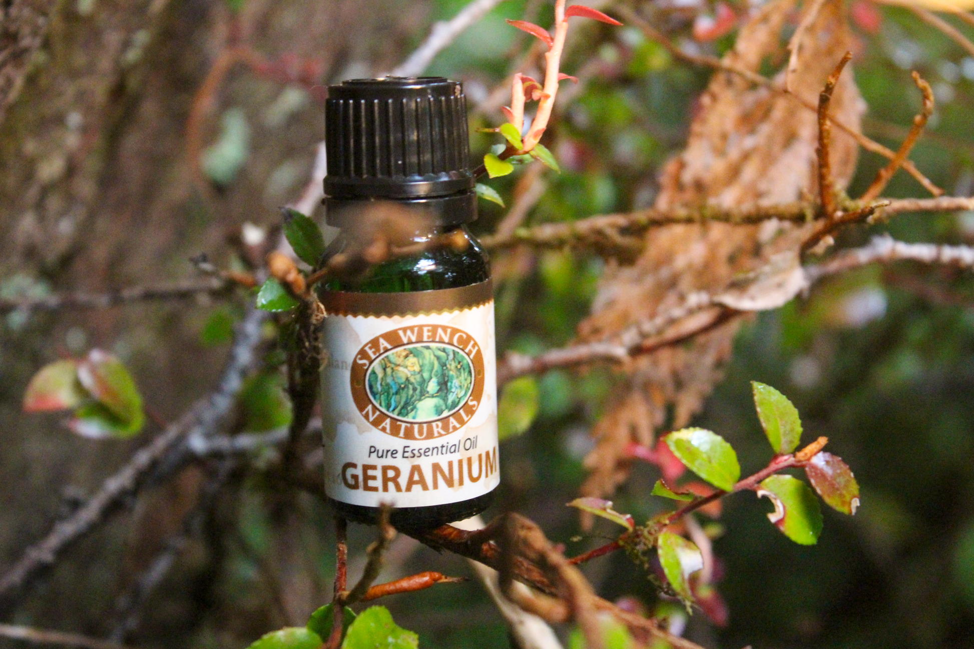 Geranium Essential Oil