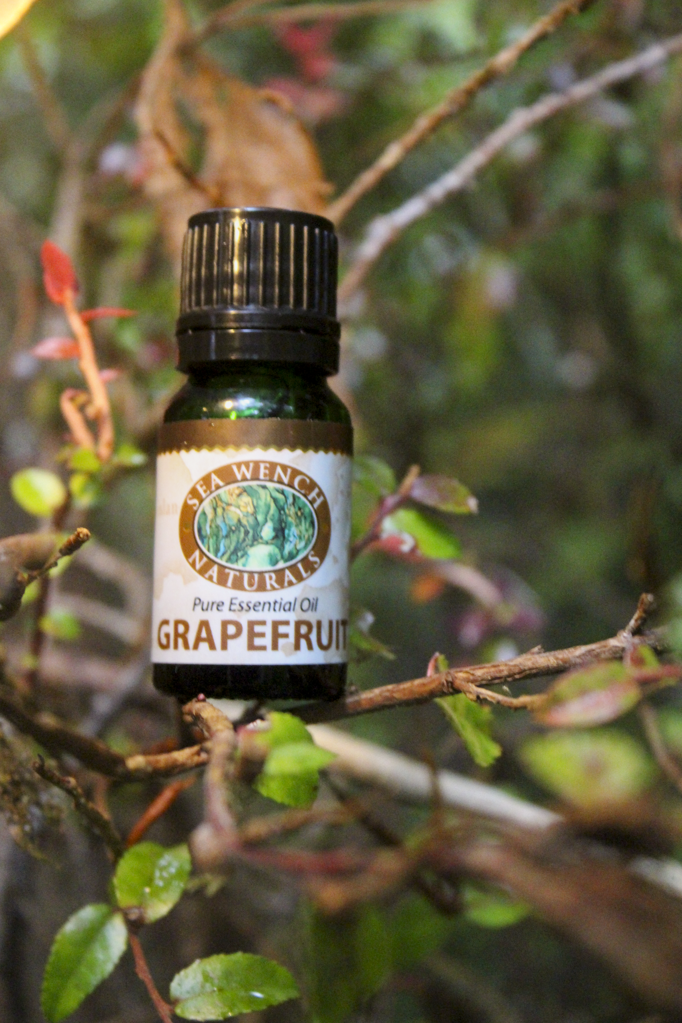 Grapefruit Essential Oil
