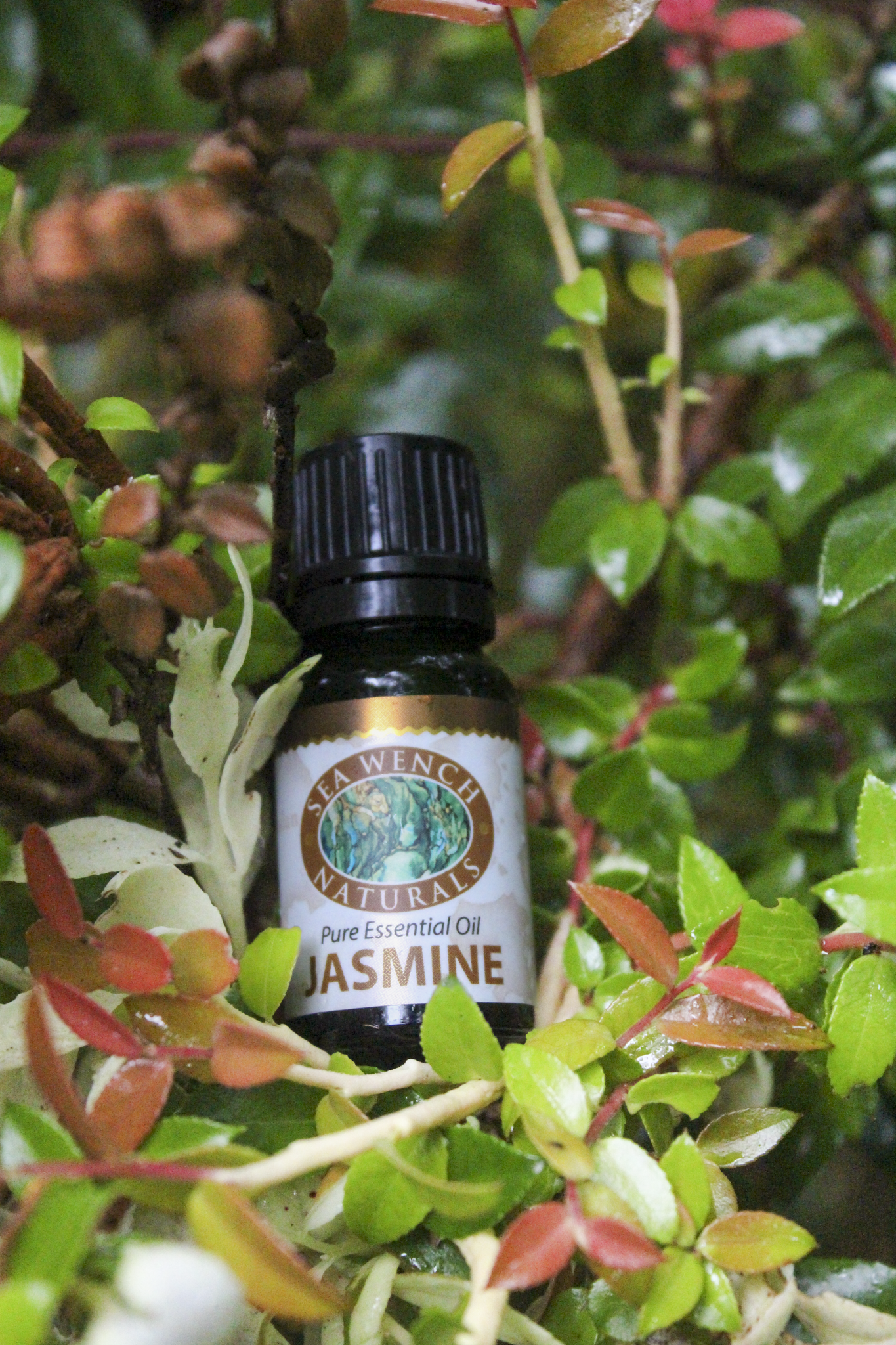 Jasmine Essential Oil