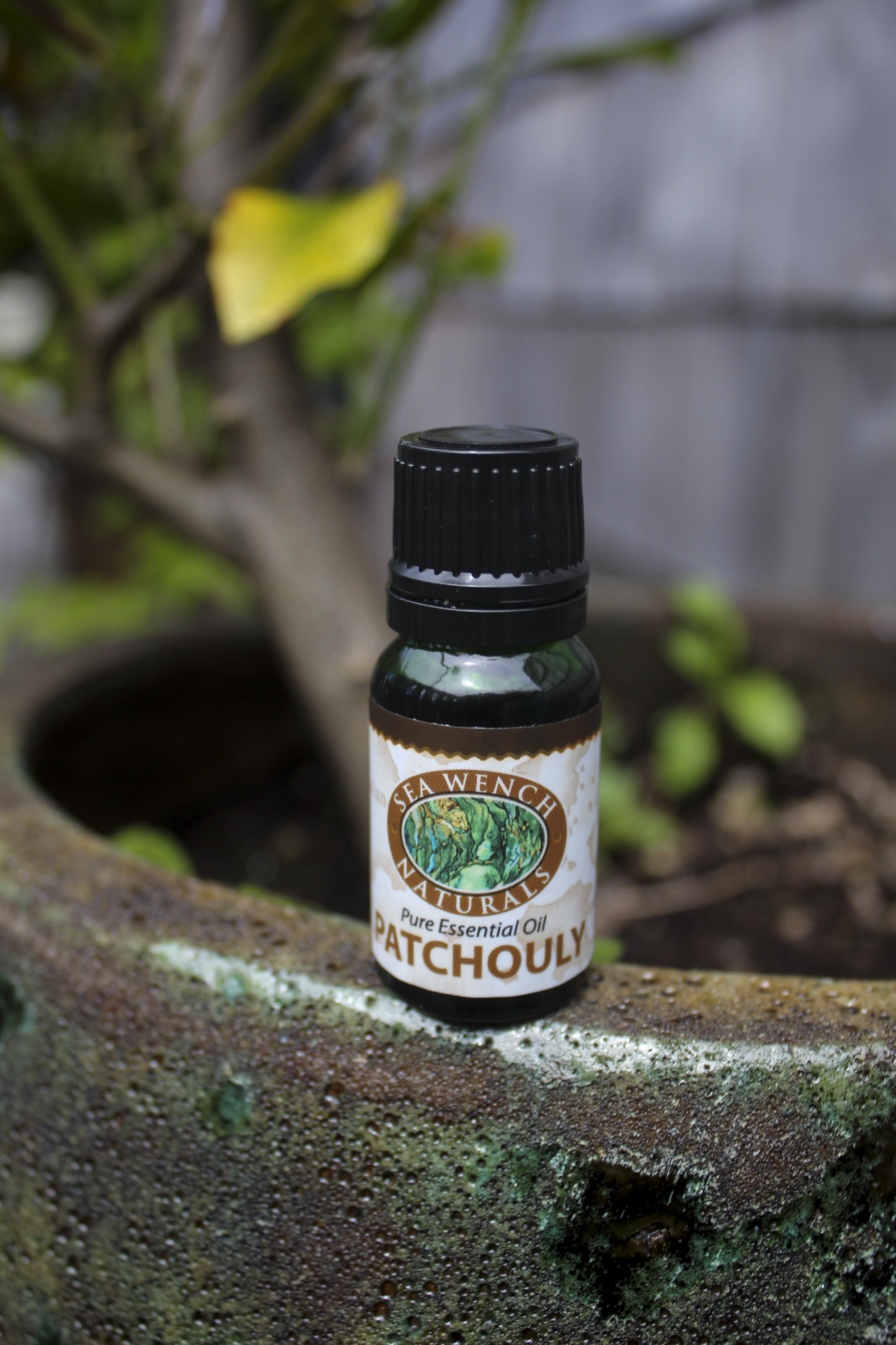 Patchouly Essential Oil