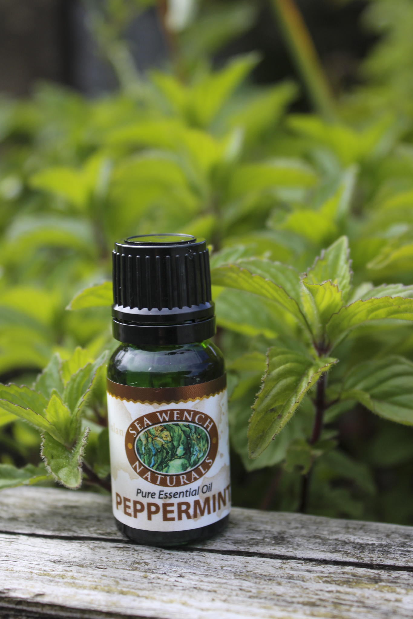 Peppermint Essential Oil