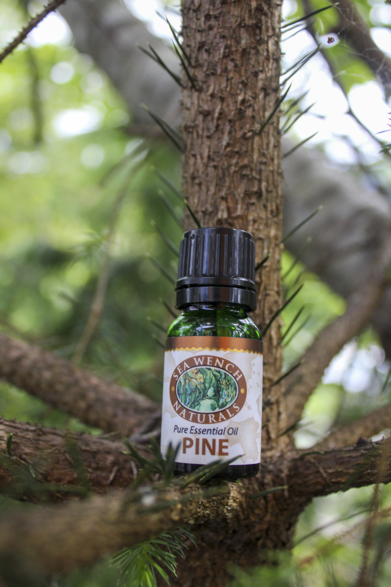Pine Essential Oil