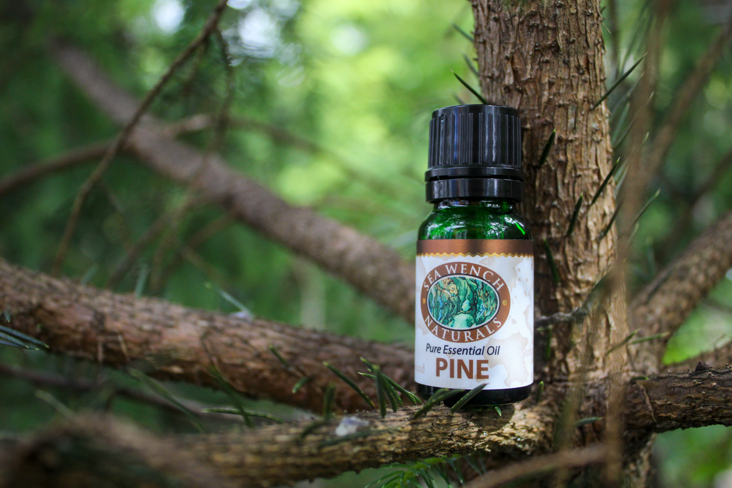 Pine Essential Oil