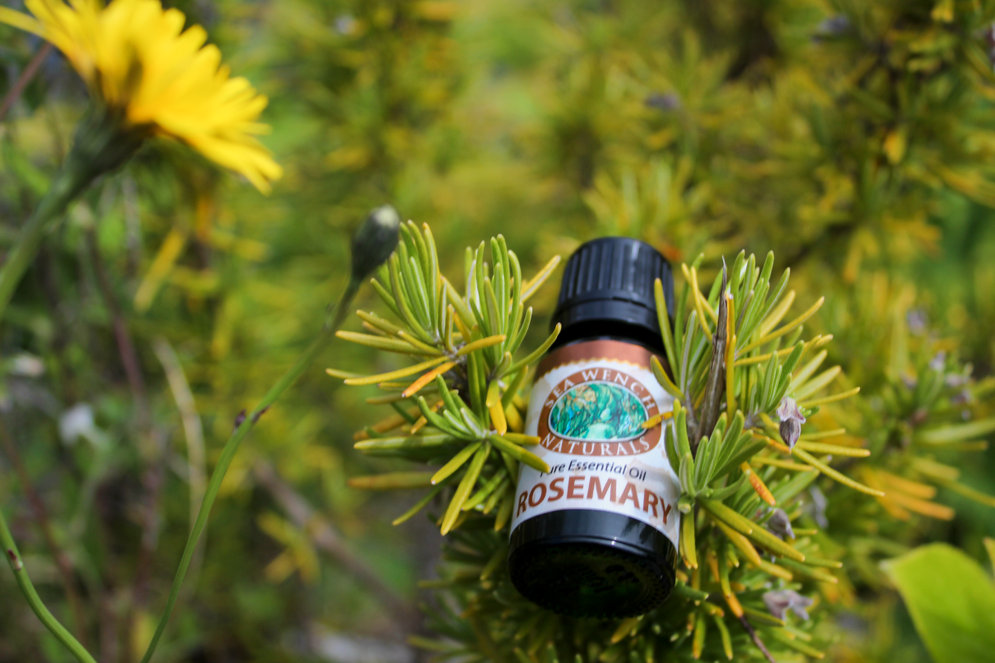 Rosemary Essential Oil