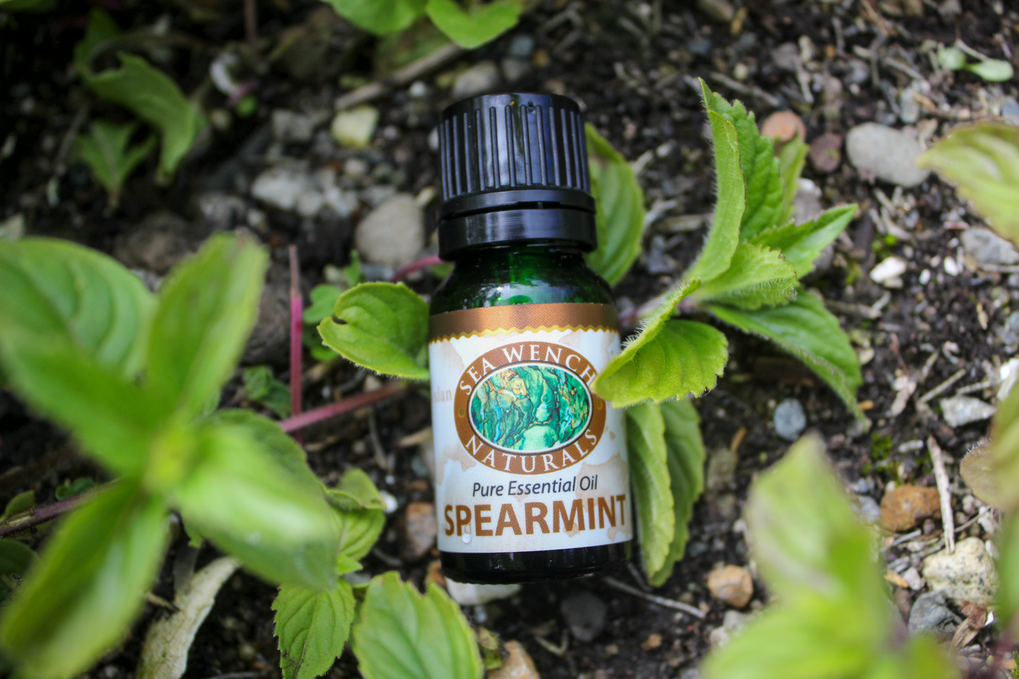 Spearmint Essential Oil