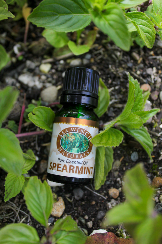 Spearmint Essential Oil
