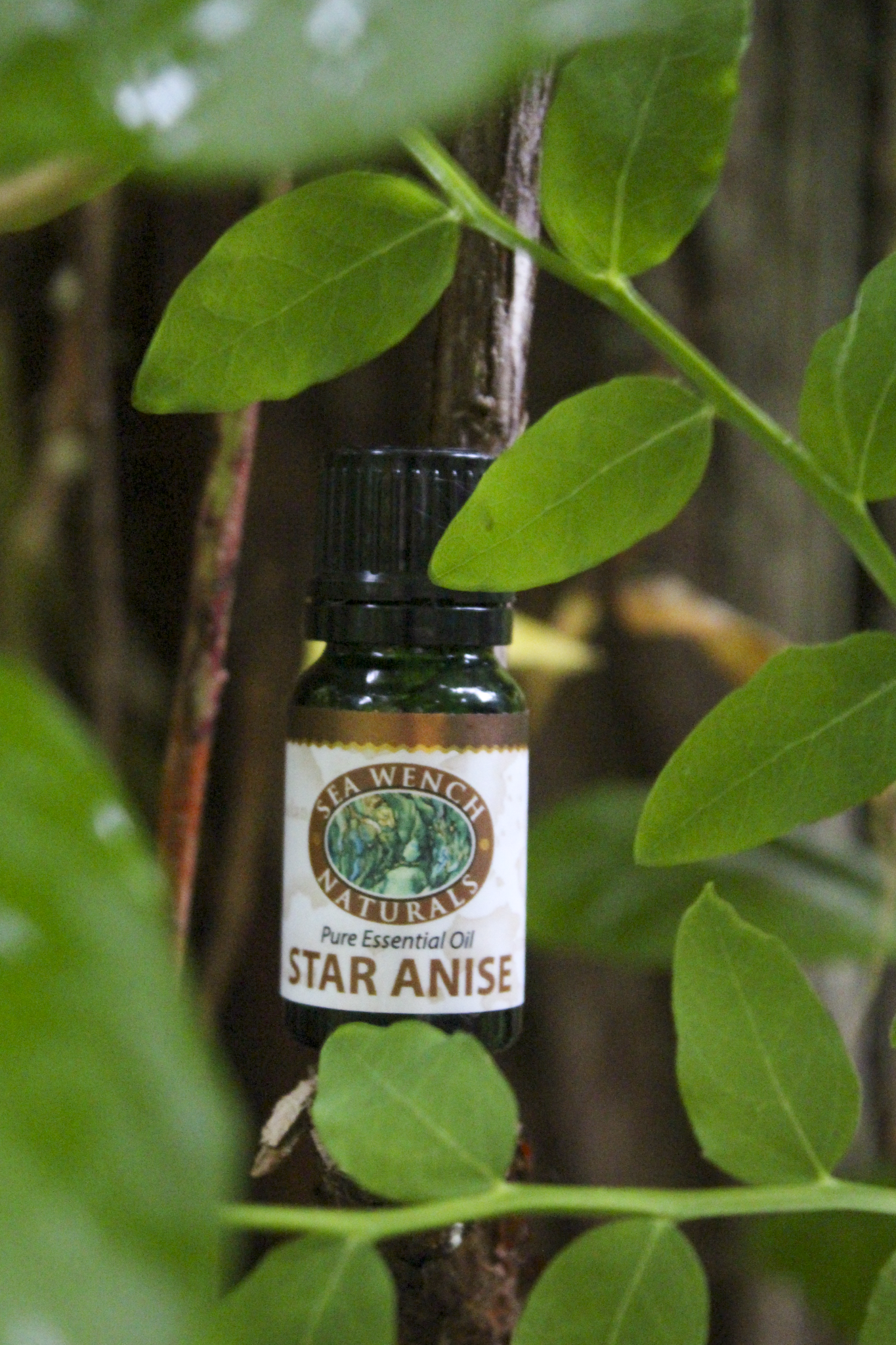 Star Anise Essential Oil