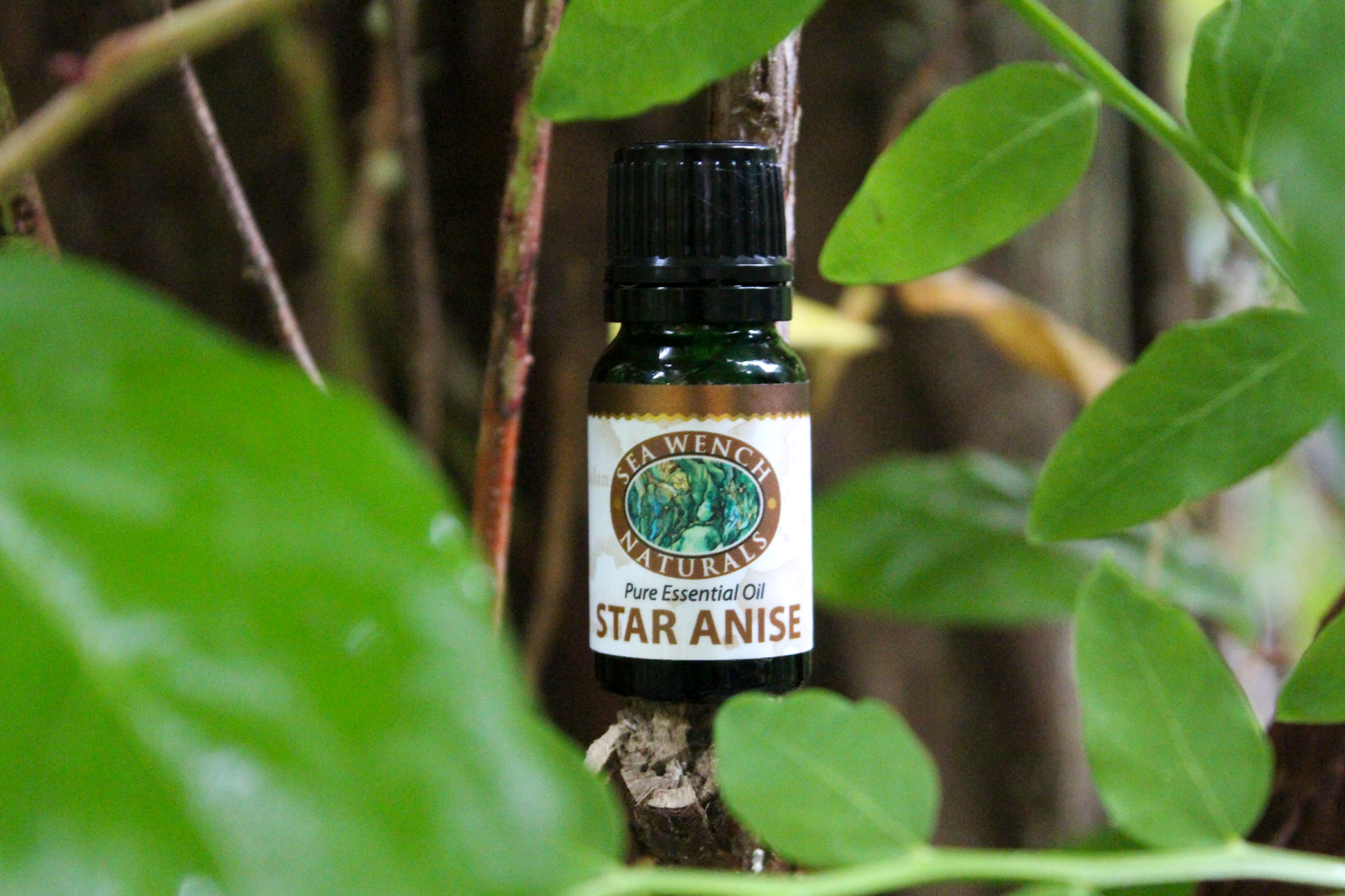 Star Anise Essential Oil