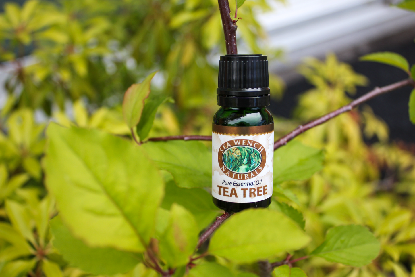 Tea Tree Essential Oil