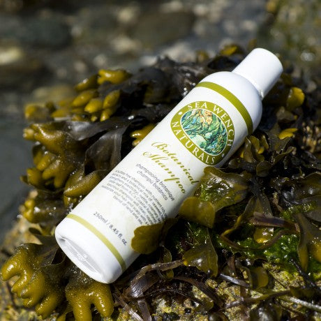 Sea Wench Botanical Shampoo – plant‑based shampoo with seaweed and botanicals, made in Canada
